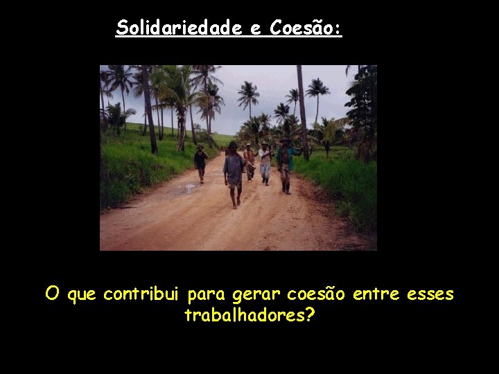Solidariedade e Coesão: O que contribui para gerar coesão entre esses trabalhadores? 
