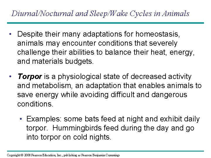 Diurnal/Nocturnal and Sleep/Wake Cycles in Animals • Despite their many adaptations for homeostasis, animals