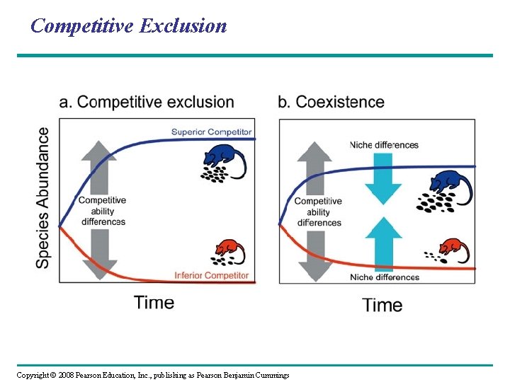 Competitive Exclusion Copyright © 2008 Pearson Education, Inc. , publishing as Pearson Benjamin Cummings