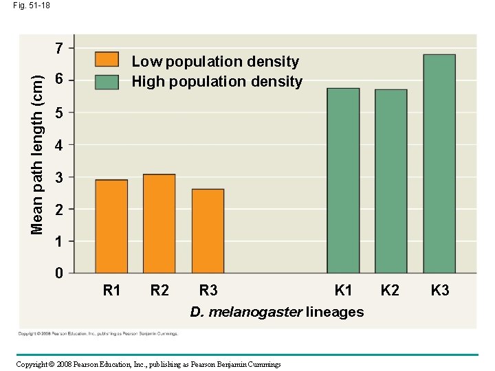 Fig. 51 -18 Mean path length (cm) 7 Low population density High population density