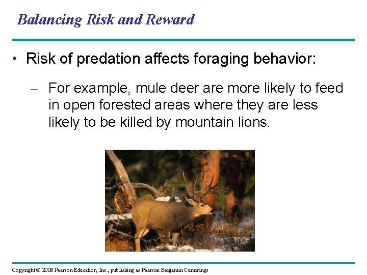 Balancing Risk and Reward • Risk of predation affects foraging behavior: – For example,