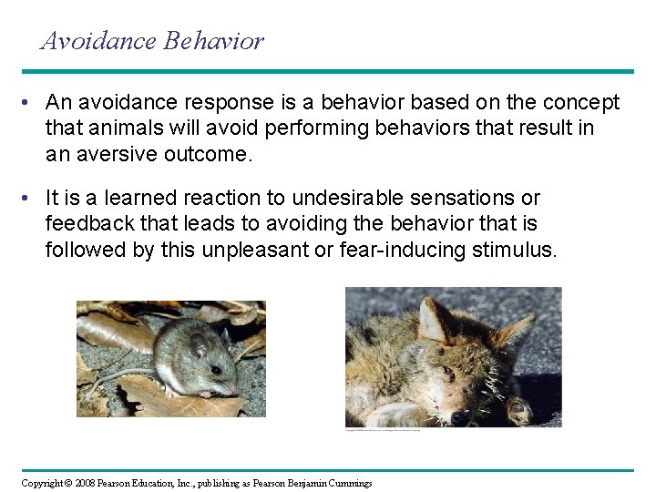 Avoidance Behavior • An avoidance response is a behavior based on the concept that