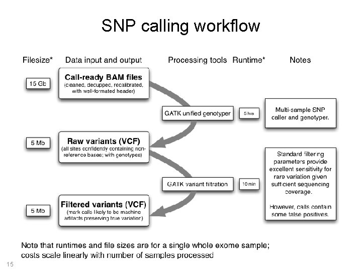 SNP calling workflow 15 