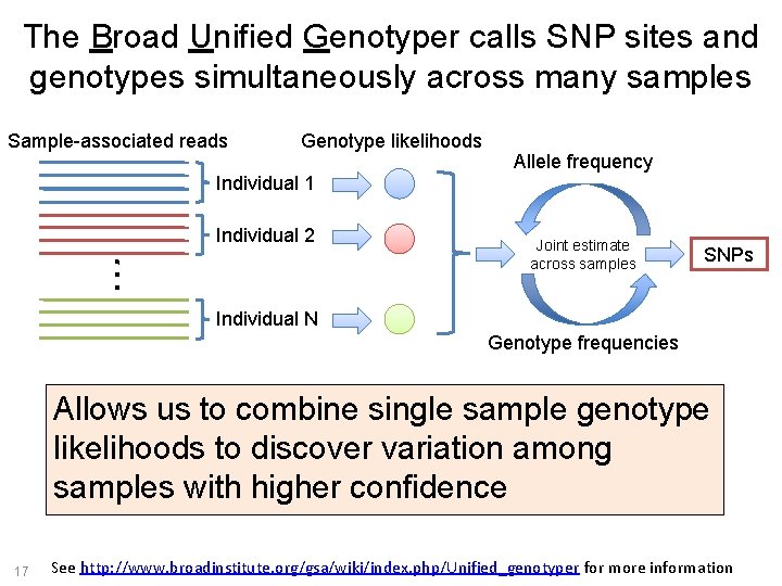 The Broad Unified Genotyper calls SNP sites and genotypes simultaneously across many samples Sample-associated