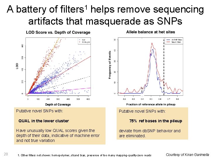 A battery of filters 1 helps remove sequencing artifacts that masquerade as SNPs Putative