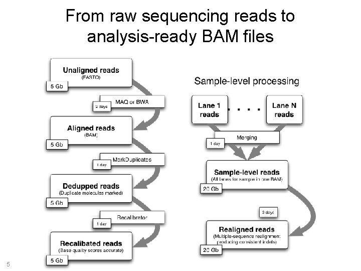 From raw sequencing reads to analysis-ready BAM files 5 