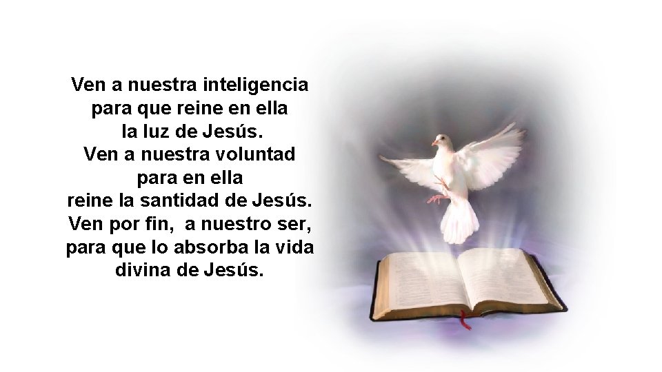 Ven a nuestra inteligencia para que reine en ella la luz de Jesús. Ven