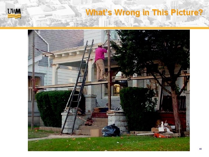 What’s Wrong in This Picture? USA (v. 2008) 44 