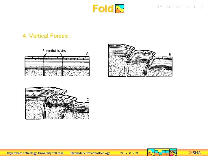 Fold CAUSES OF FOLDING a) Tectonic Processes 4. Vertical Forces : Folding by vertical