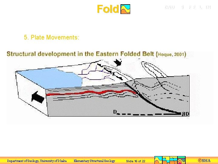 Fold CAUSES OF FOLDING a) Tectonic Processes 5. Plate Movements: Department of Geology, University