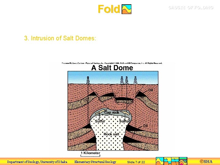 Fold CAUSES OF FOLDING a) Tectonic Processes 3. Intrusion of Salt Domes: Uplift and