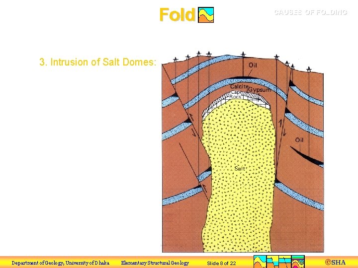 Fold CAUSES OF FOLDING a) Tectonic Processes 3. Intrusion of Salt Domes: Department of