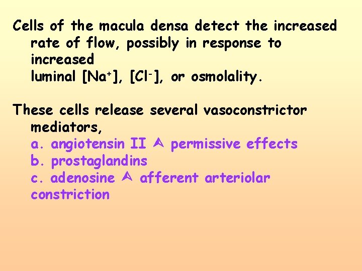 Cells of the macula densa detect the increased rate of flow, possibly in response