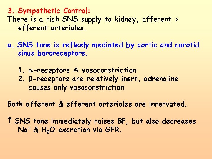 3. Sympathetic Control: There is a rich SNS supply to kidney, afferent > efferent