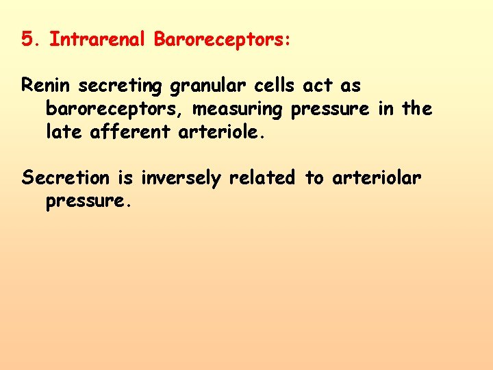 5. Intrarenal Baroreceptors: Renin secreting granular cells act as baroreceptors, measuring pressure in the 5. Intrarenal Baroreceptors: Renin secreting granular cells act as baroreceptors, measuring pressure in the