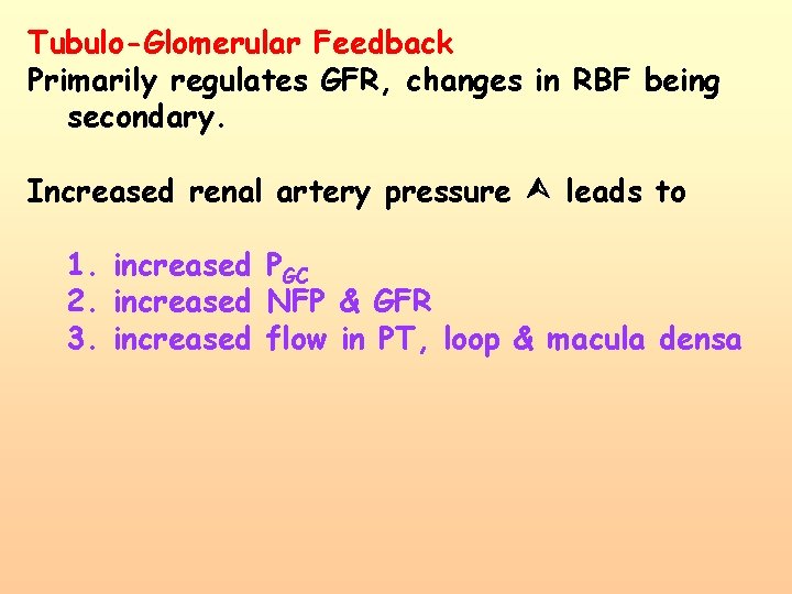 Tubulo-Glomerular Feedback Primarily regulates GFR, changes in RBF being secondary. Increased renal artery pressure Tubulo-Glomerular Feedback Primarily regulates GFR, changes in RBF being secondary. Increased renal artery pressure