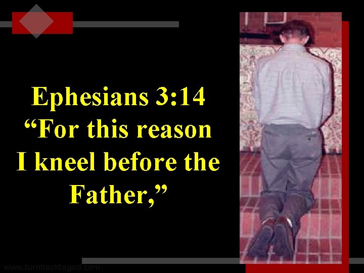 Ephesians 3: 14 “For this reason I kneel before the Father, ” www. turnbacktogod.