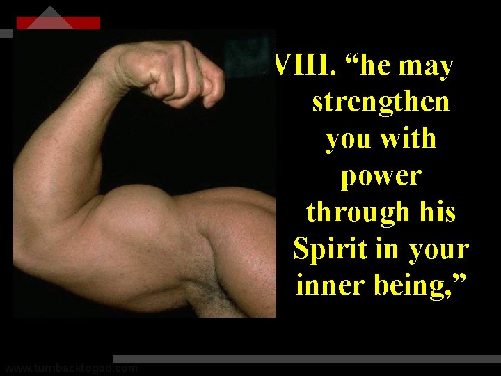 XVIII. “he may strengthen you with power through his Spirit in your inner being,
