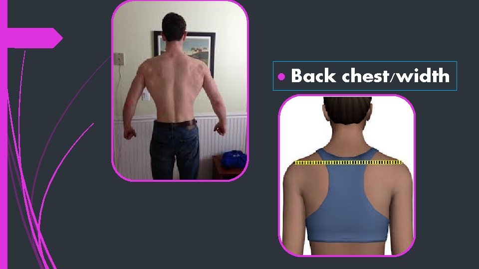  Back chest/width 