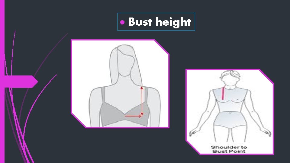  Bust height 