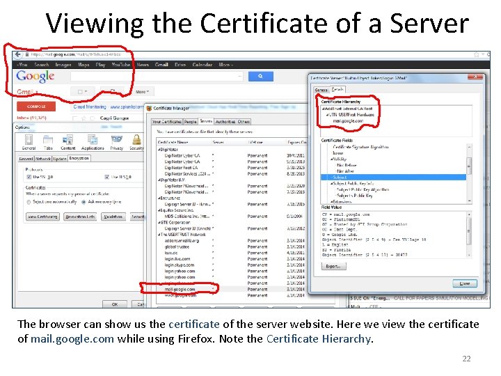 Viewing the Certificate of a Server The browser can show us the certificate of