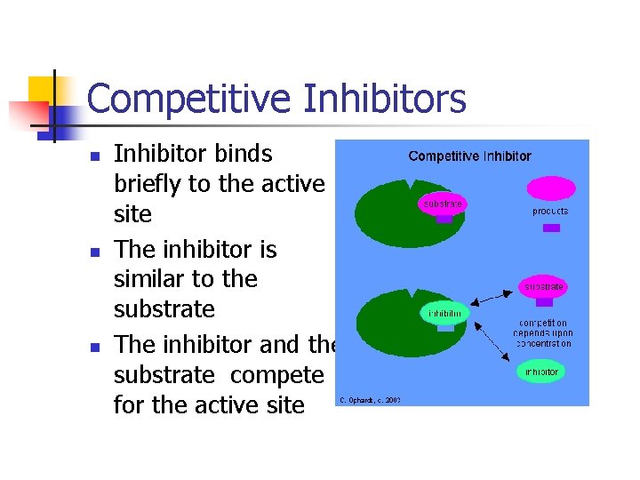 Competitive Inhibitors n n n Inhibitor binds briefly to the active site The inhibitor