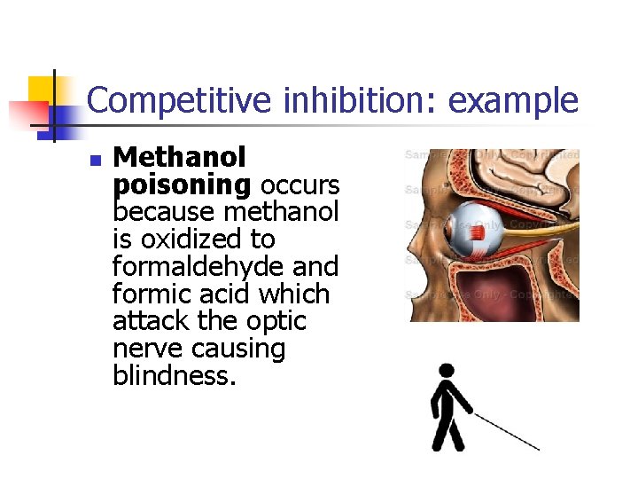 Competitive inhibition: example n Methanol poisoning occurs because methanol is oxidized to formaldehyde and