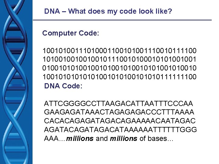 DNA – What does my code look like? Computer Code: 10010100111010001100101001110010111100 1010010010111001010100100101010010100101001010100101010111111100 DNA Code: