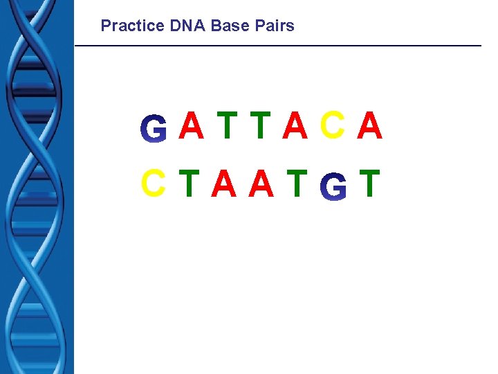 Practice DNA Base Pairs ATTACA CTAAT T 