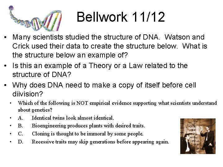 Bellwork 11/12 • Many scientists studied the structure of DNA. Watson and Crick used