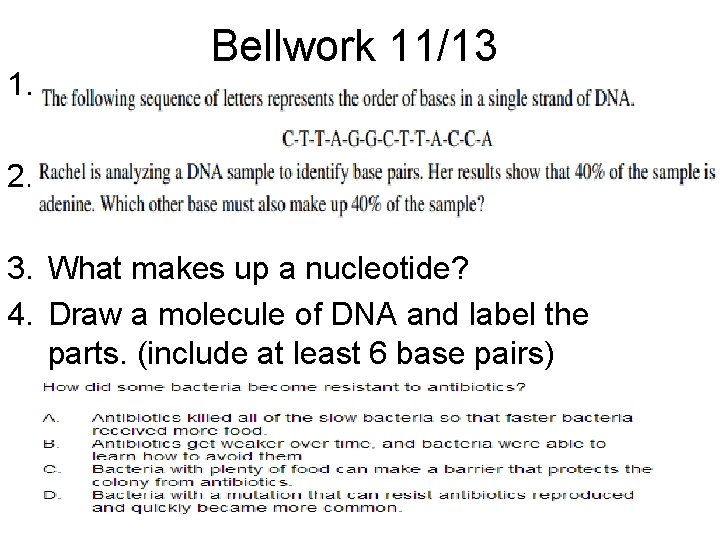 1. Bellwork 11/13 2. 3. What makes up a nucleotide? 4. Draw a molecule