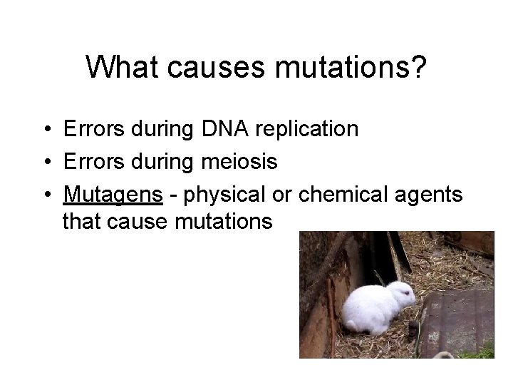 What causes mutations? • Errors during DNA replication • Errors during meiosis • Mutagens