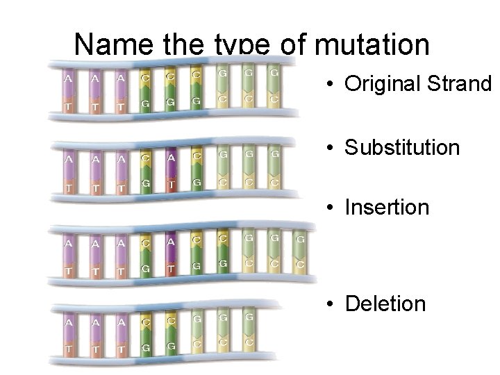 Name the type of mutation • Original Strand • Substitution • Insertion • Deletion