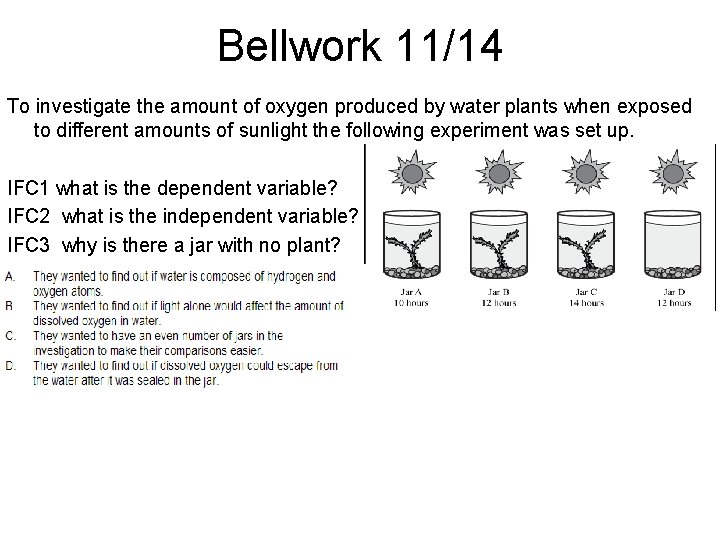 Bellwork 11/14 To investigate the amount of oxygen produced by water plants when exposed