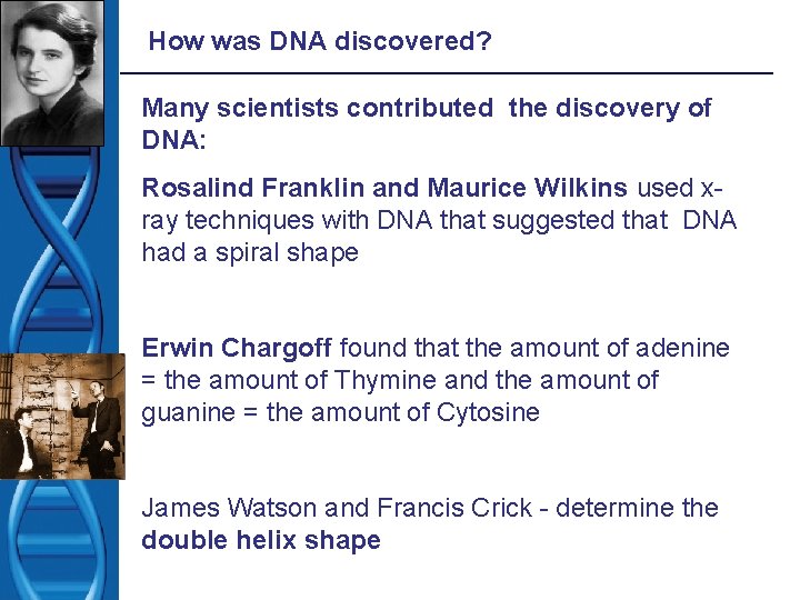How was DNA discovered? Many scientists contributed the discovery of DNA: Rosalind Franklin and