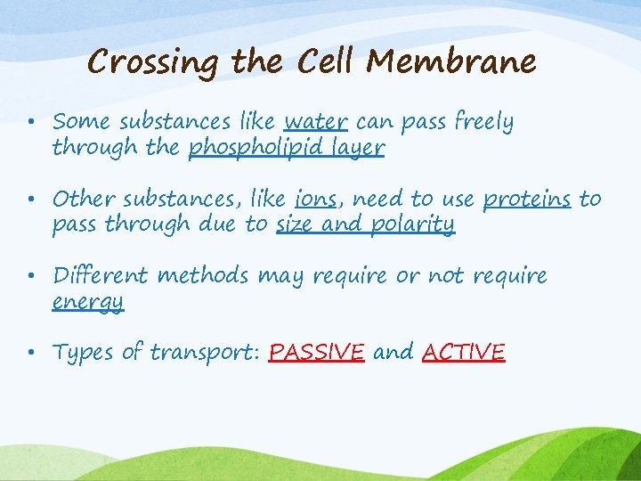 Crossing the Cell Membrane • Some substances like water can pass freely through the