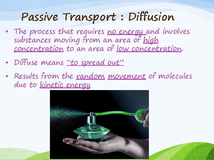 Passive Transport : Diffusion • The process that requires no energy and involves substances