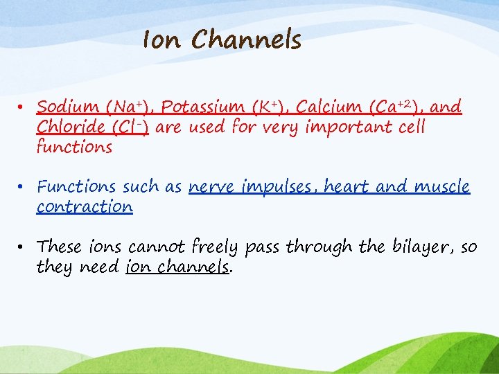 Ion Channels • Sodium (Na+), Potassium (K+), Calcium (Ca+2), and Chloride (Cl-) are used