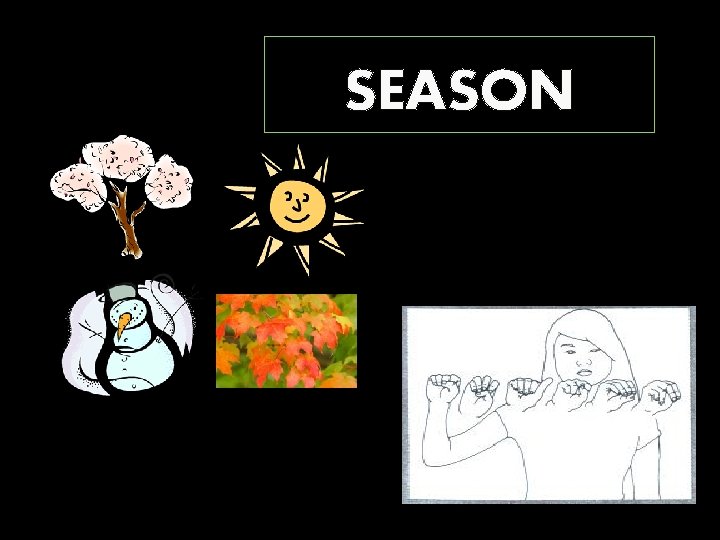 SEASON 