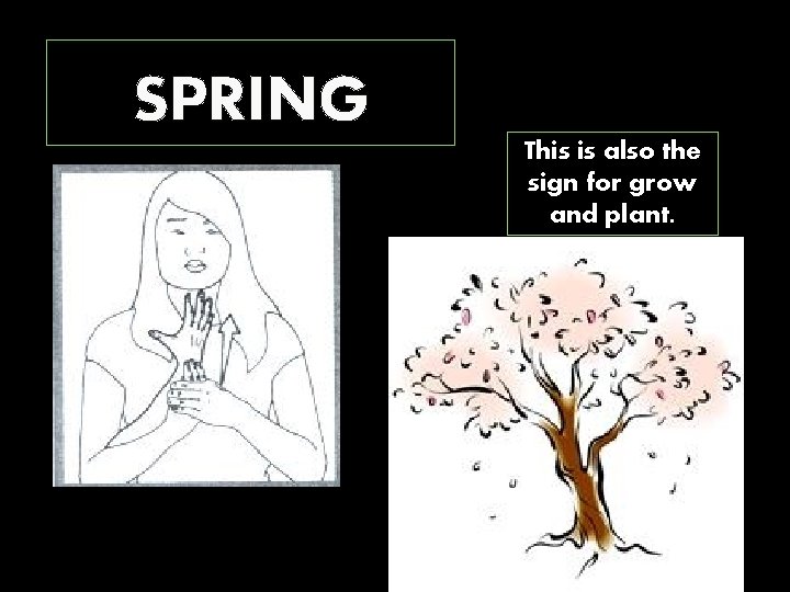 SPRING This is also the sign for grow and plant. 