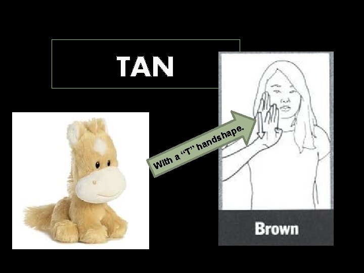 TAN th Wi T” “ a e. p a sh d han 