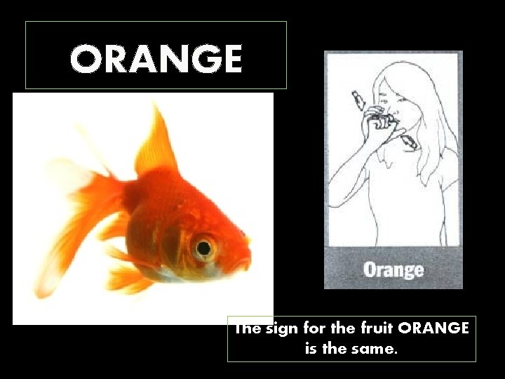 ORANGE The sign for the fruit ORANGE is the same. 