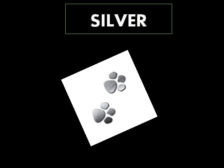 SILVER 
