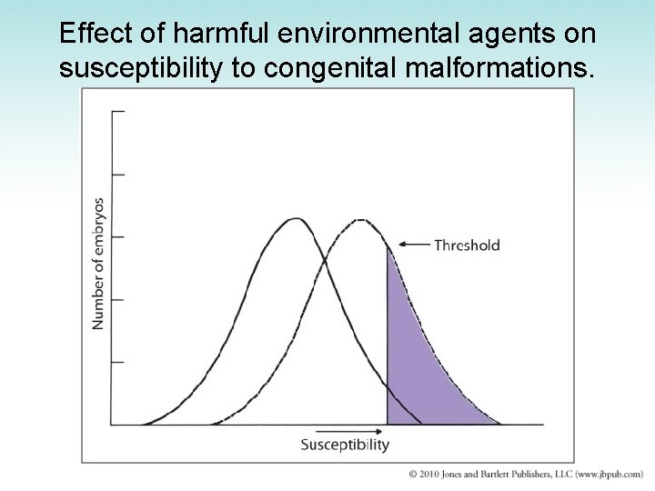 Effect of harmful environmental agents on susceptibility to congenital malformations. 