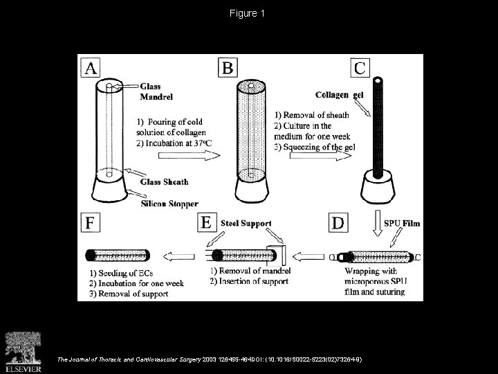 Figure 1 The Journal of Thoracic and Cardiovascular Surgery 2003 126455 -464 DOI: (10.