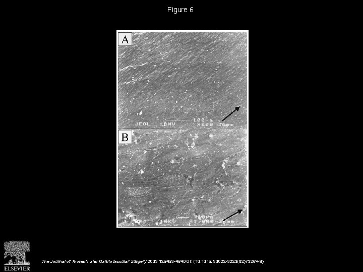 Figure 6 The Journal of Thoracic and Cardiovascular Surgery 2003 126455 -464 DOI: (10.