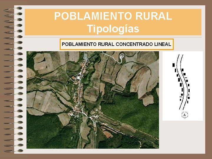 POBLAMIENTO RURAL Tipologías POBLAMIENTO RURAL CONCENTRADO LINEAL 