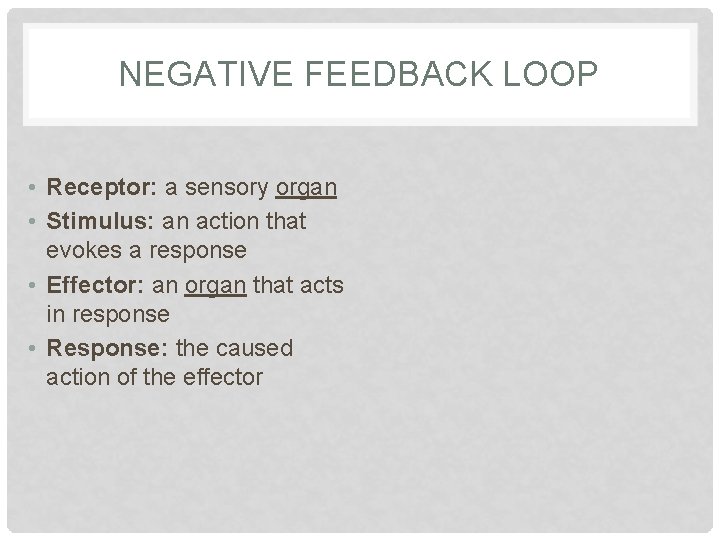 NEGATIVE FEEDBACK LOOP • Receptor: a sensory organ • Stimulus: an action that evokes