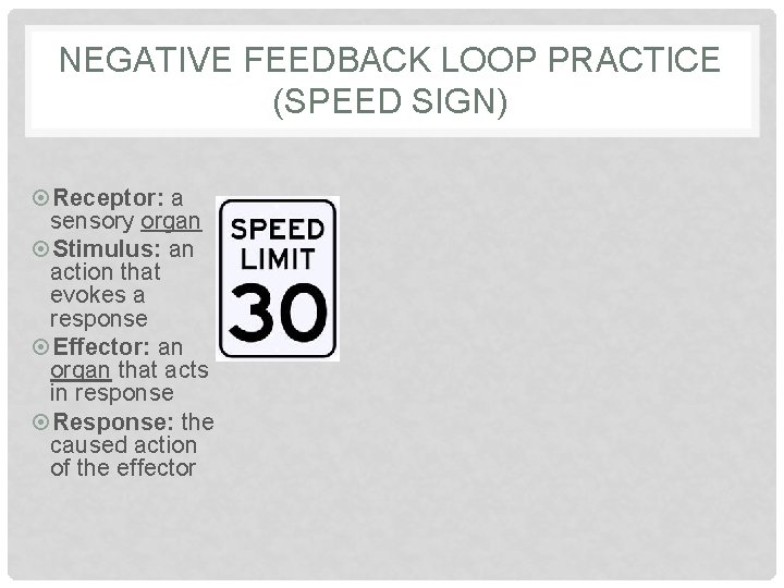NEGATIVE FEEDBACK LOOP PRACTICE (SPEED SIGN) Receptor: a sensory organ Stimulus: an action that