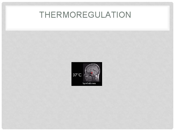 THERMOREGULATION 